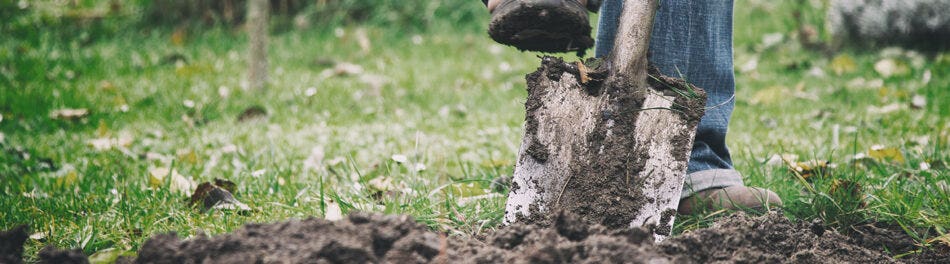 Why is it important to ‘call before you dig’?