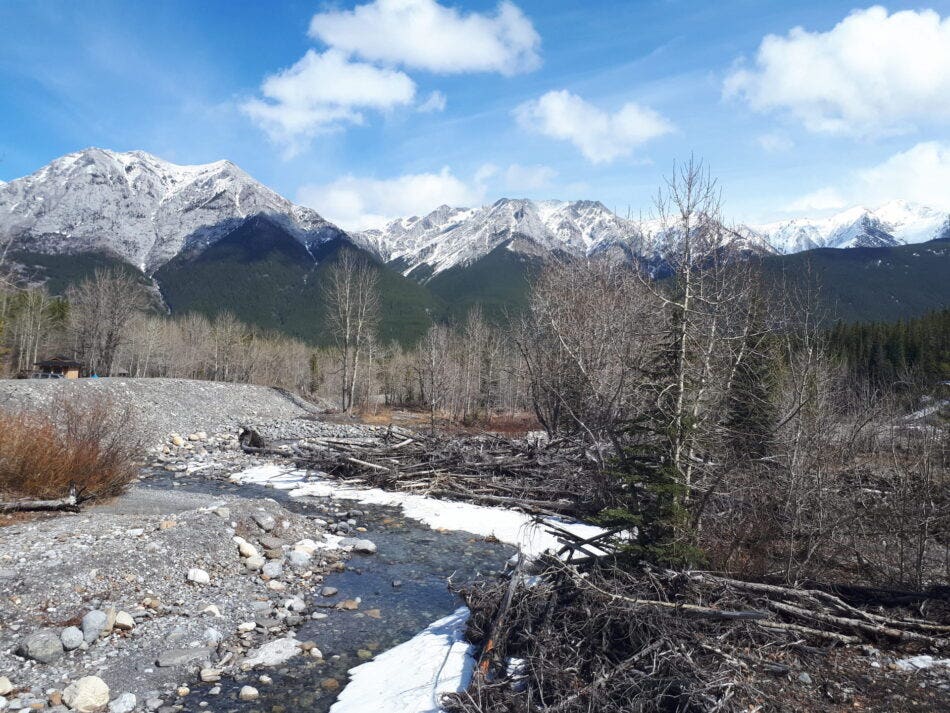 Top 10 Easy Hikes Near Calgary