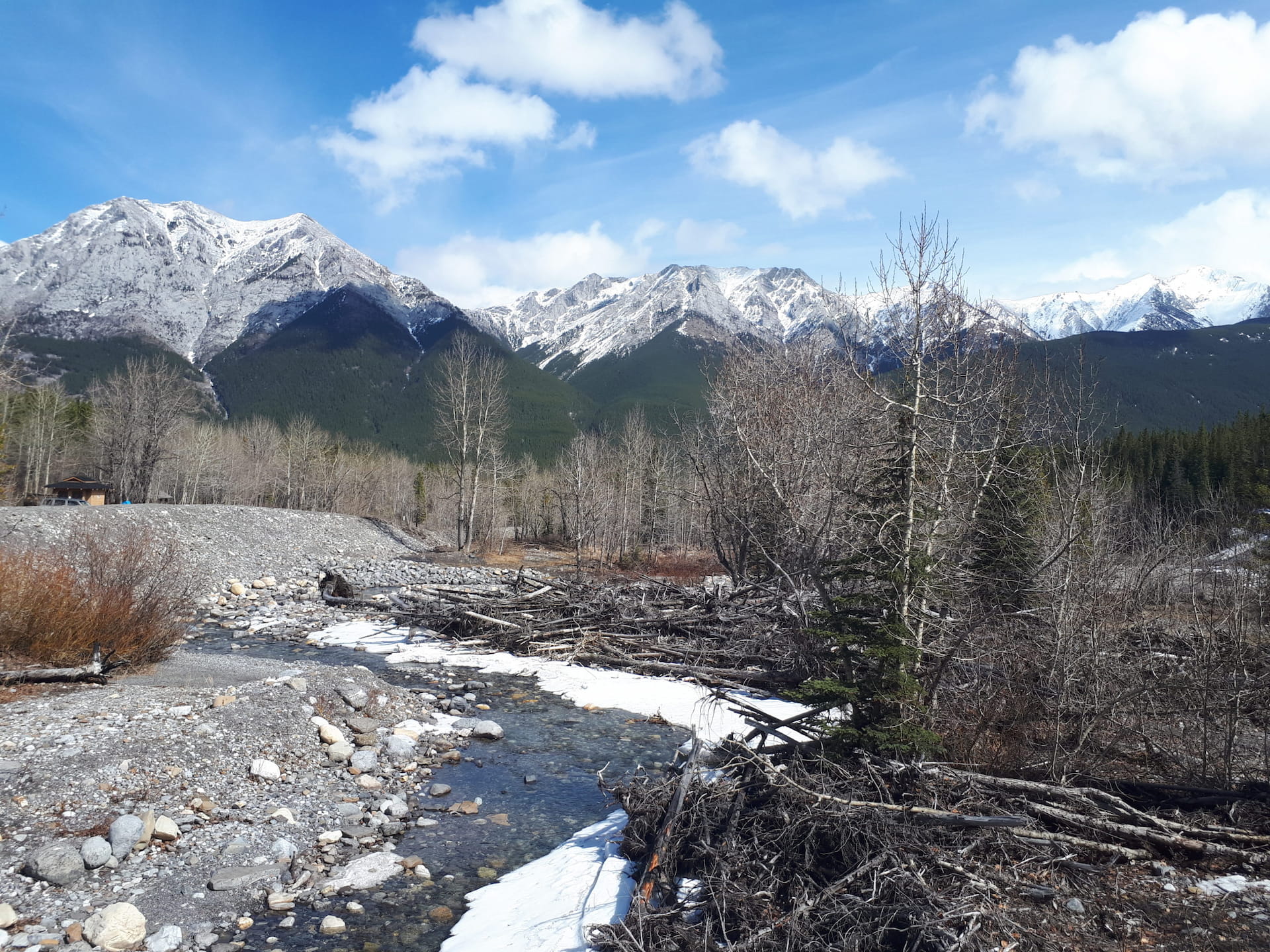 Hike near alberta rockies