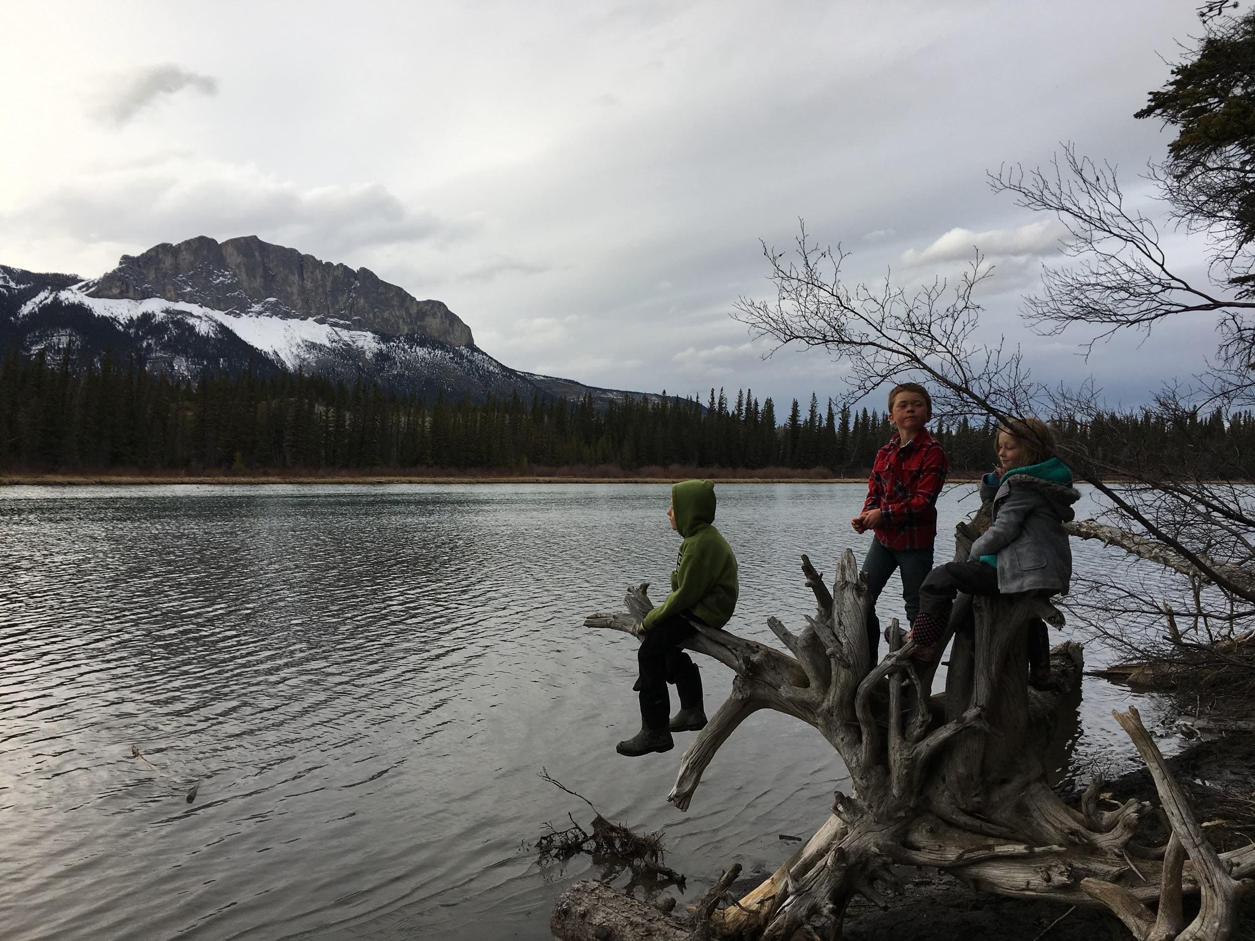 Bow Valley Campground photo by Tanya Koob