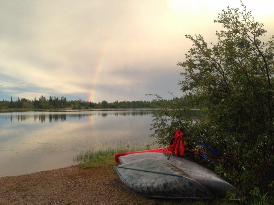 Top 5 Campgrounds within 4 Hours of Edmonton