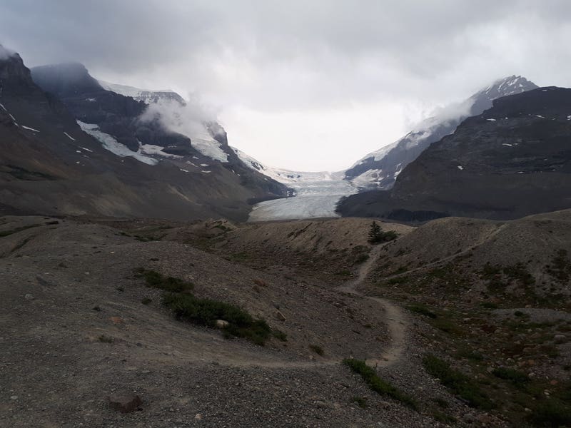 athabasca glacier