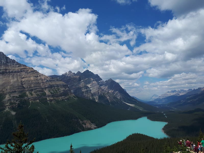 peyto lake