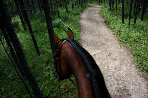 trail riding