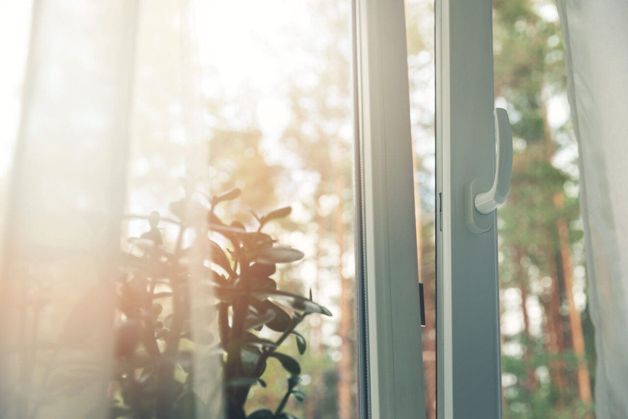 Double-paned window open to let fresh air circulate. There is a plant on the sill and trees visible outside.