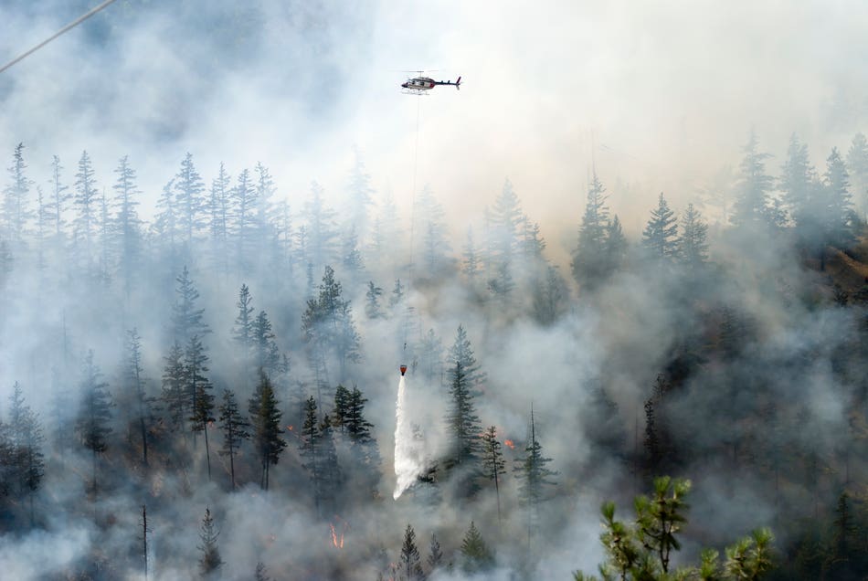 How to Protect Your Business from Wildfires in Alberta