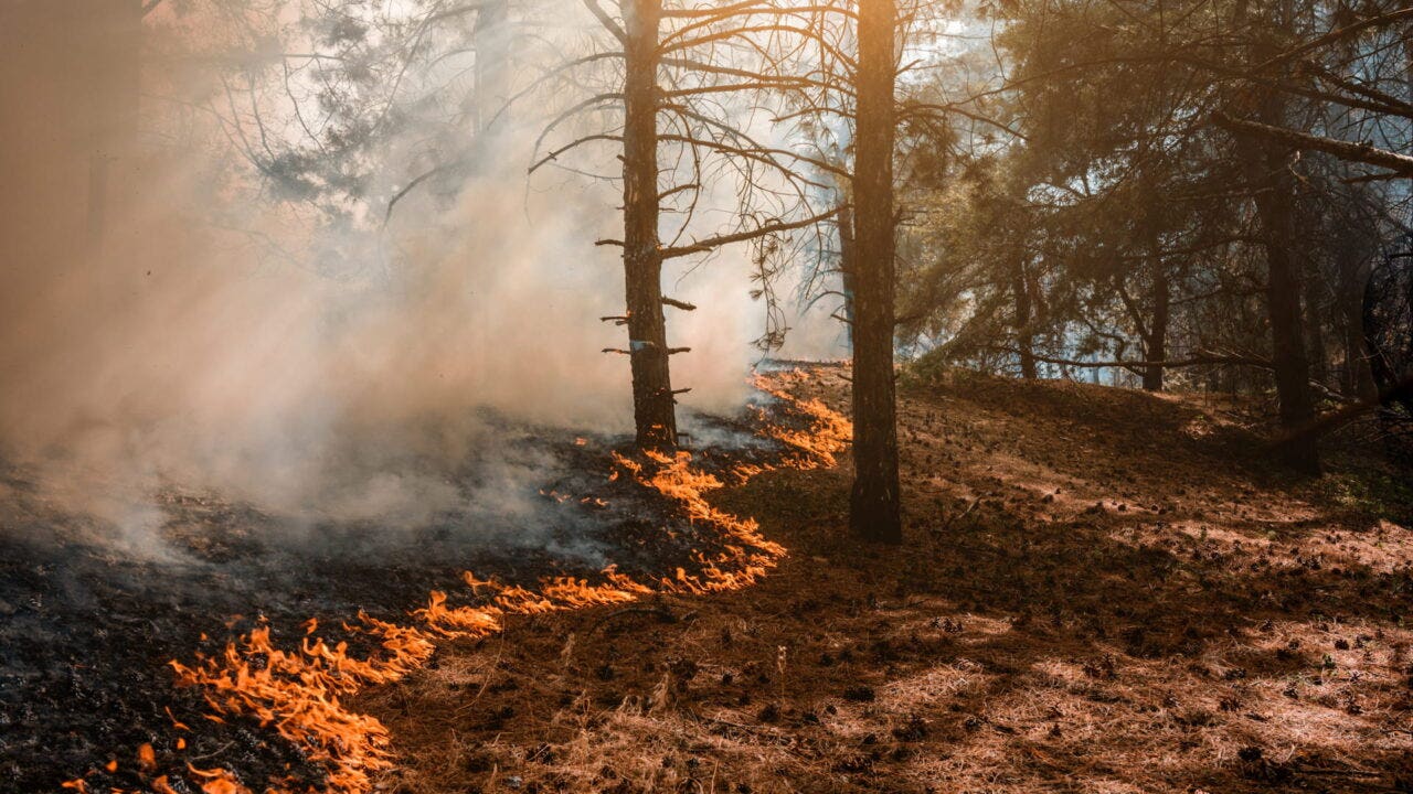 How to Deal with a Wildfire While RVing