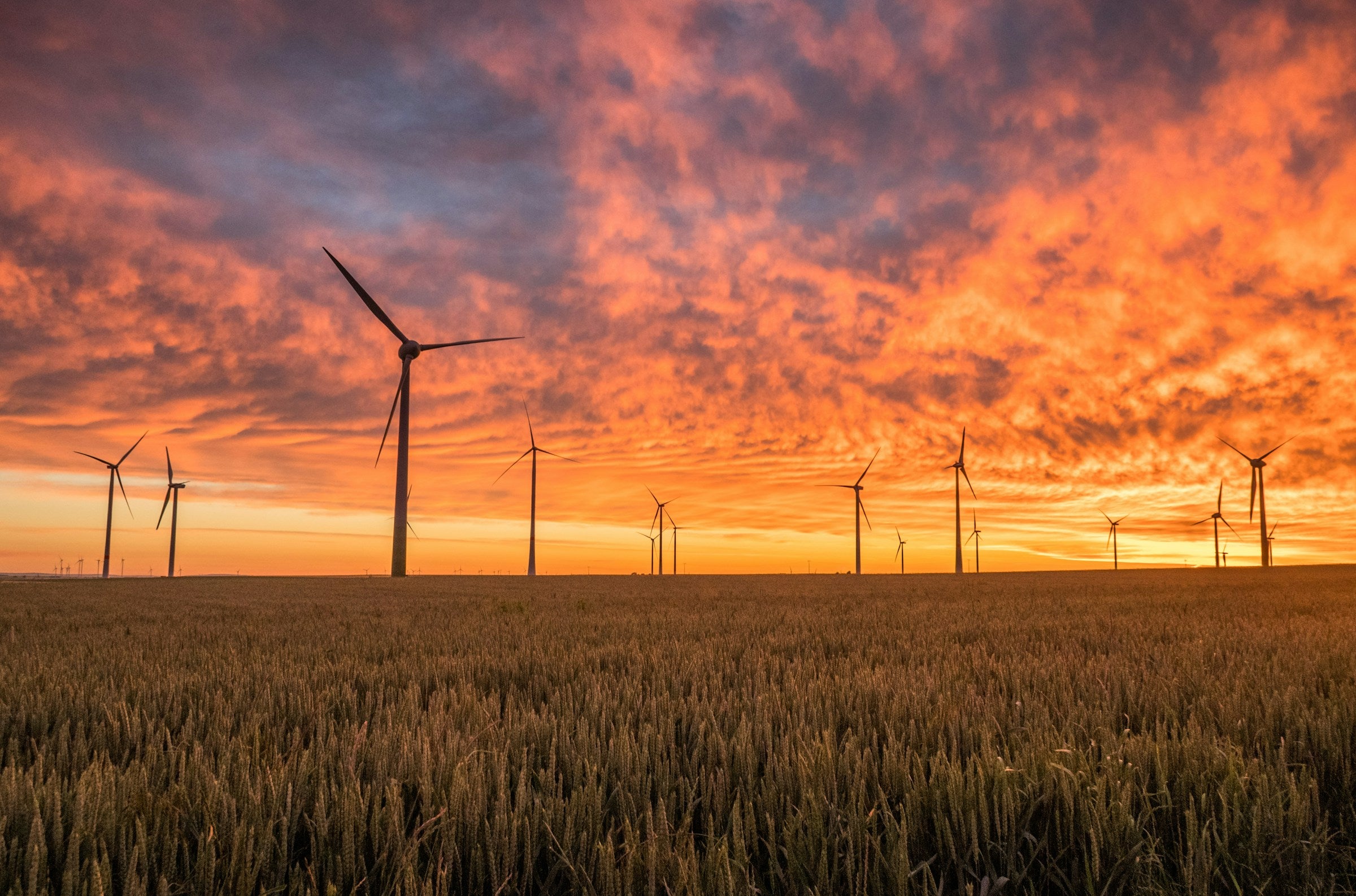 Windmills on skyline at sunset