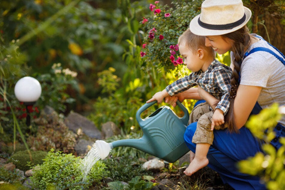 9 Tips to Have a Sustainable Yard in Alberta 