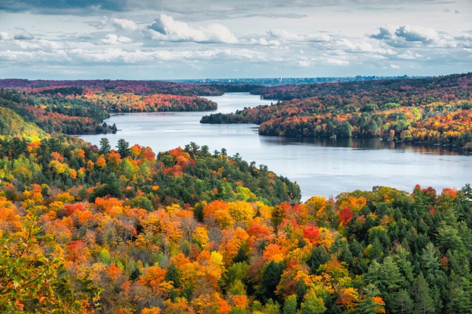 Autumn trees in varying shades of fall colours around a river in south eastern Ontario.