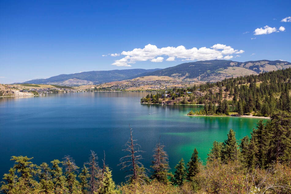 Picture of a beautiful blue lake with surrounding forest in Kalamalka Lake Provincial Park in Coldstream, British Columbia, Canada.