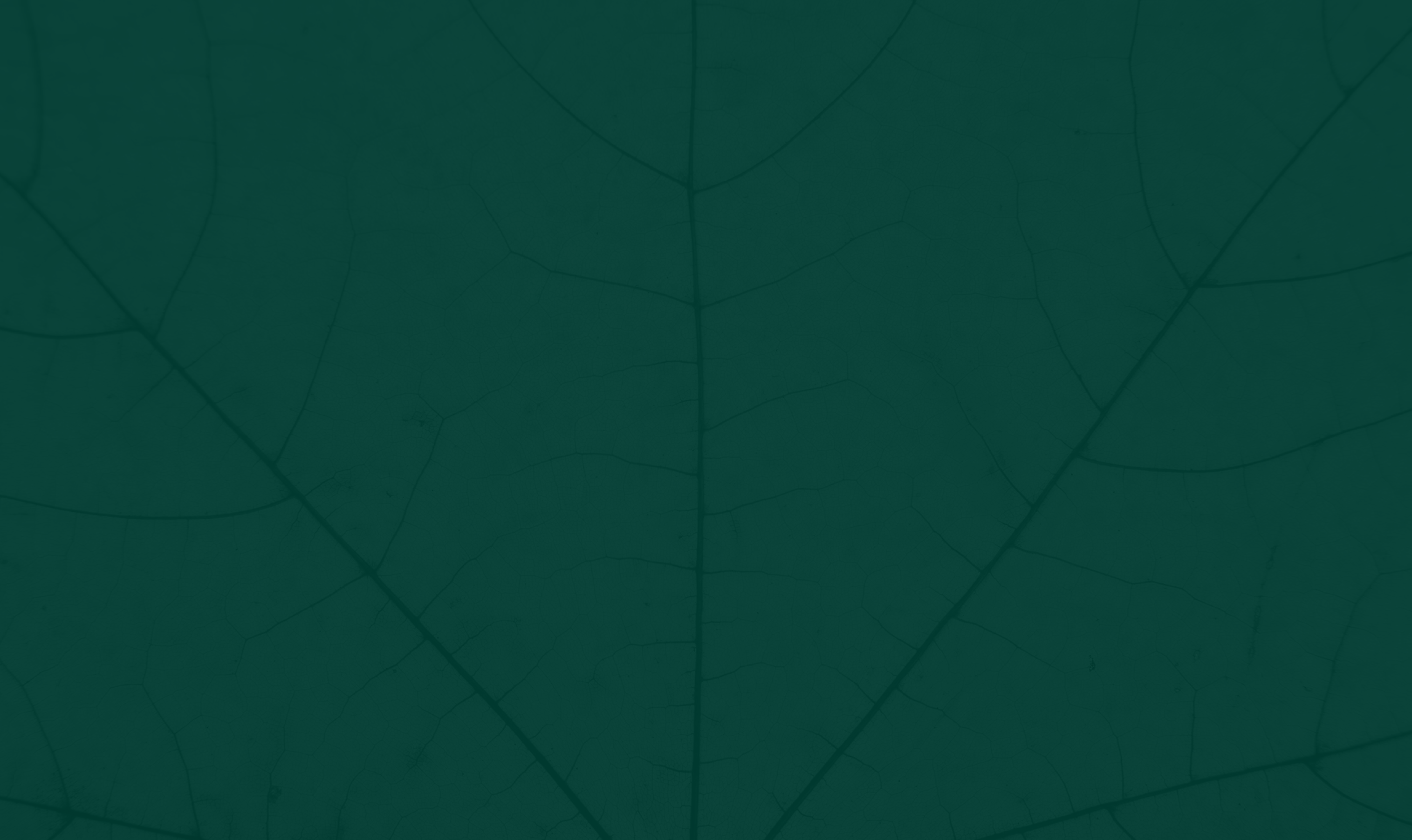 Leaf texture in dark green