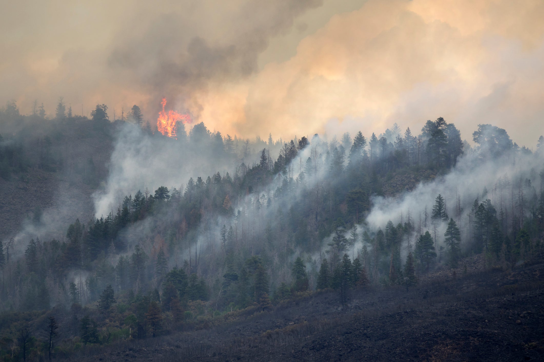 Wildfire causes large amounts of smoke