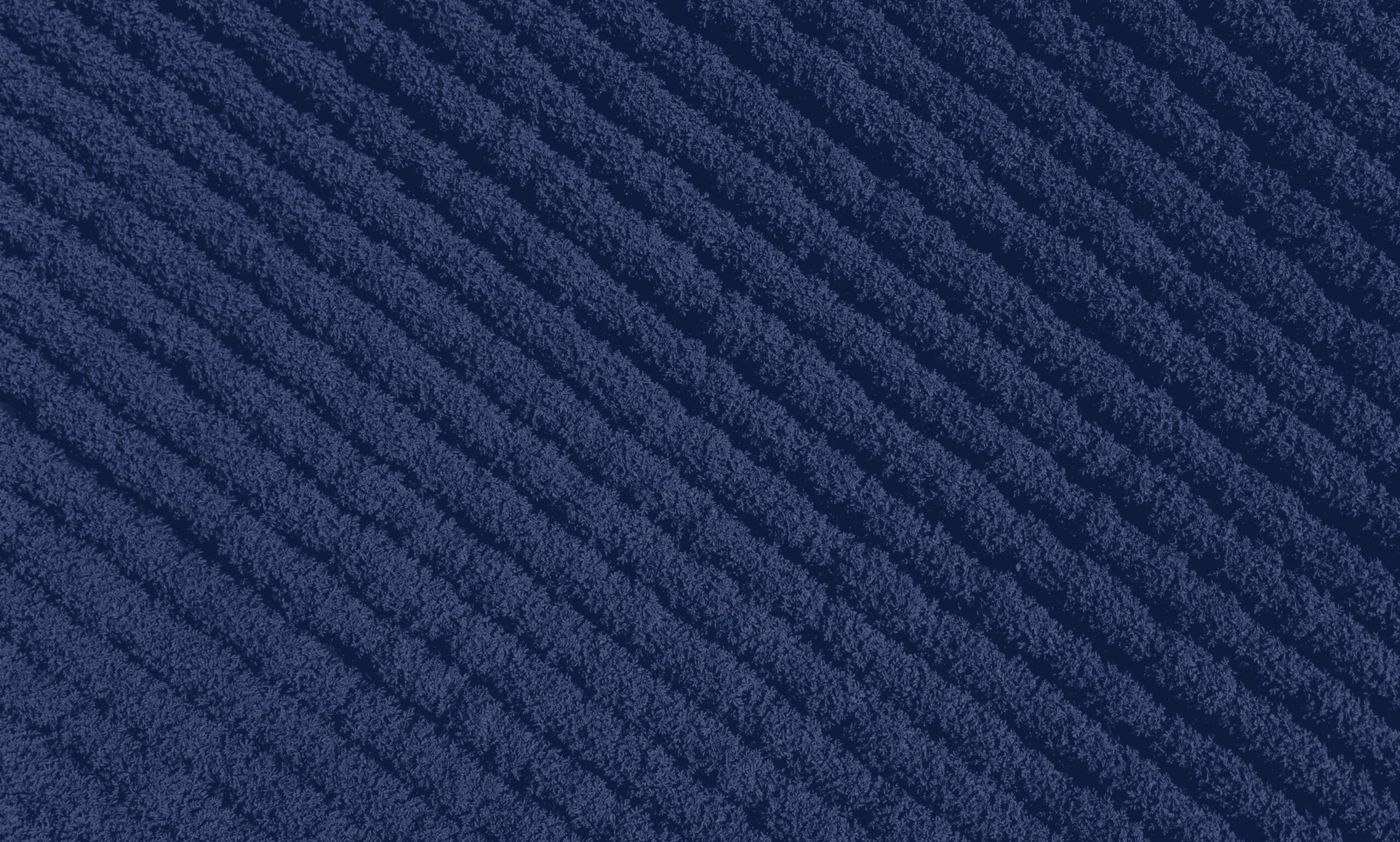 Aerial view of a farm field with straight line