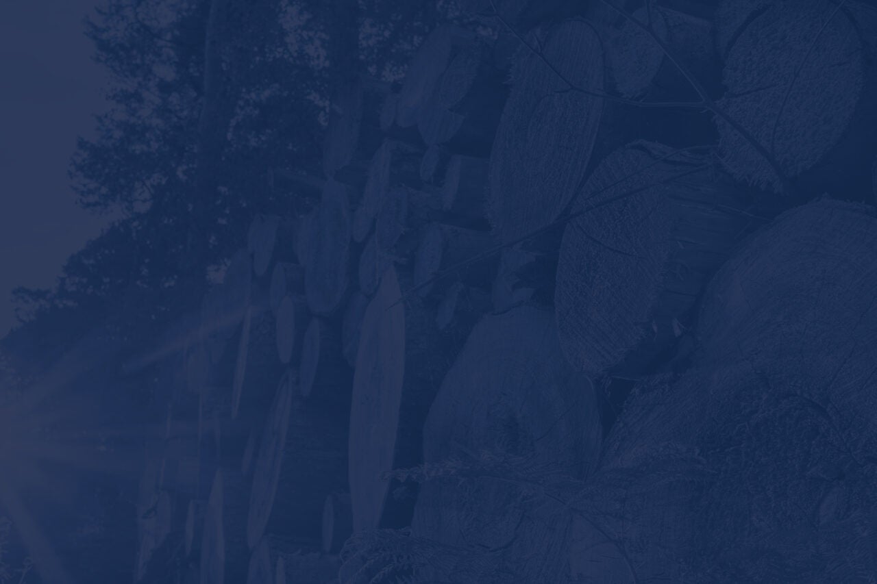 Closeup Stacked Logs