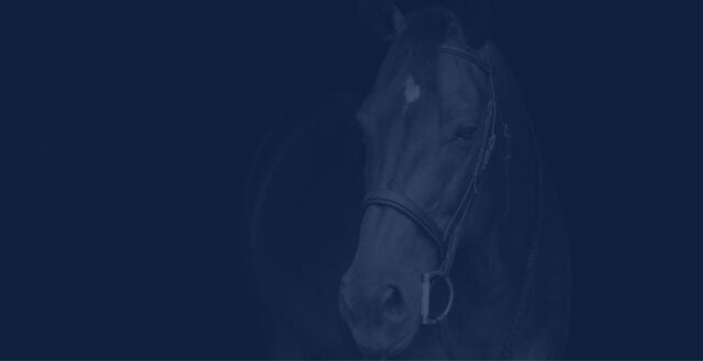 a closeup of a horse face with a dark blue image overlay