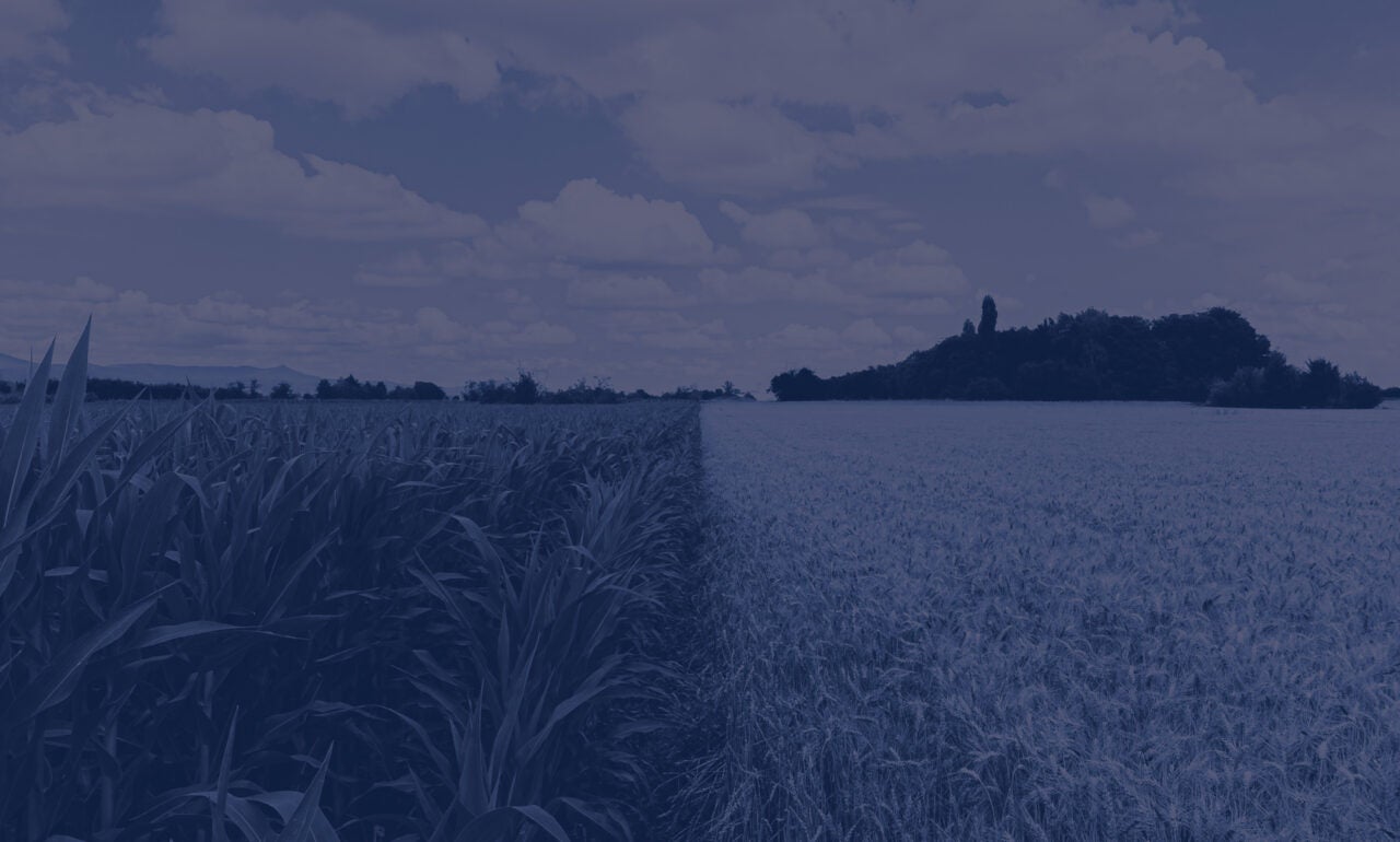 Two Toned Farmland