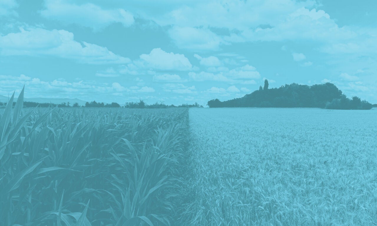 View right down the middle of different types of farmland creating a two-tone effect