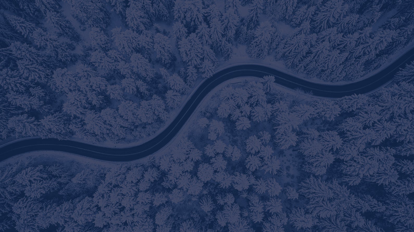 Aerial view of a winding road surrounded by forest and dense trees
