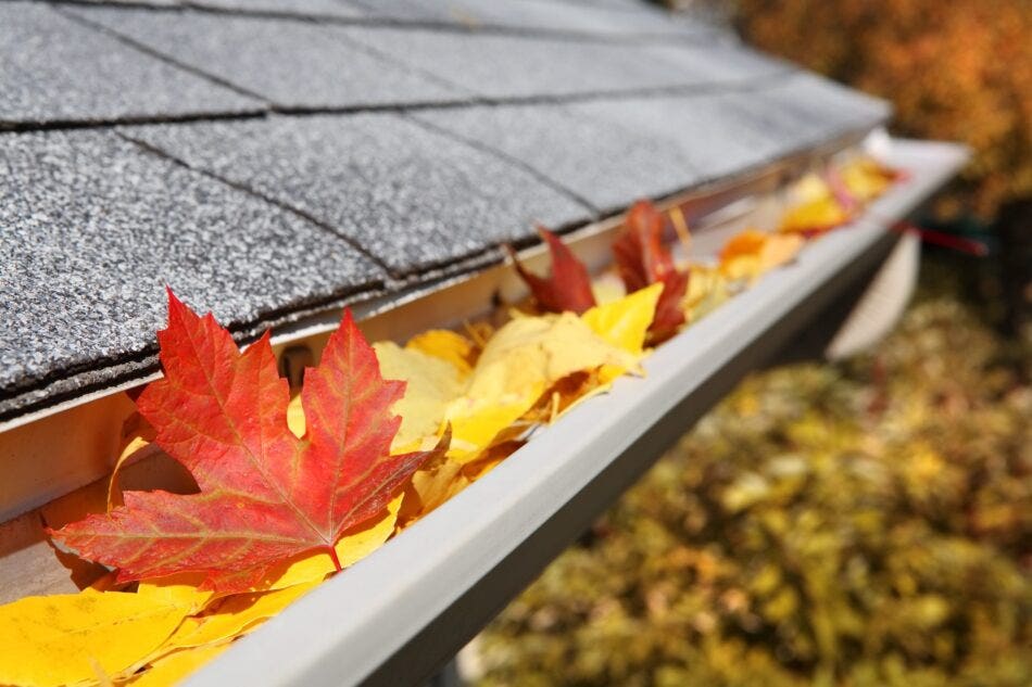 Fall Maintenance for Homes in Alberta