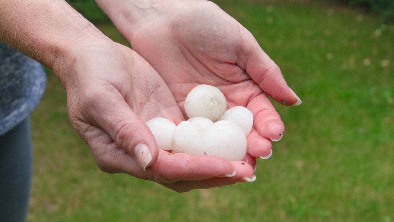 What is the Alberta hail suppression program and how does it work?