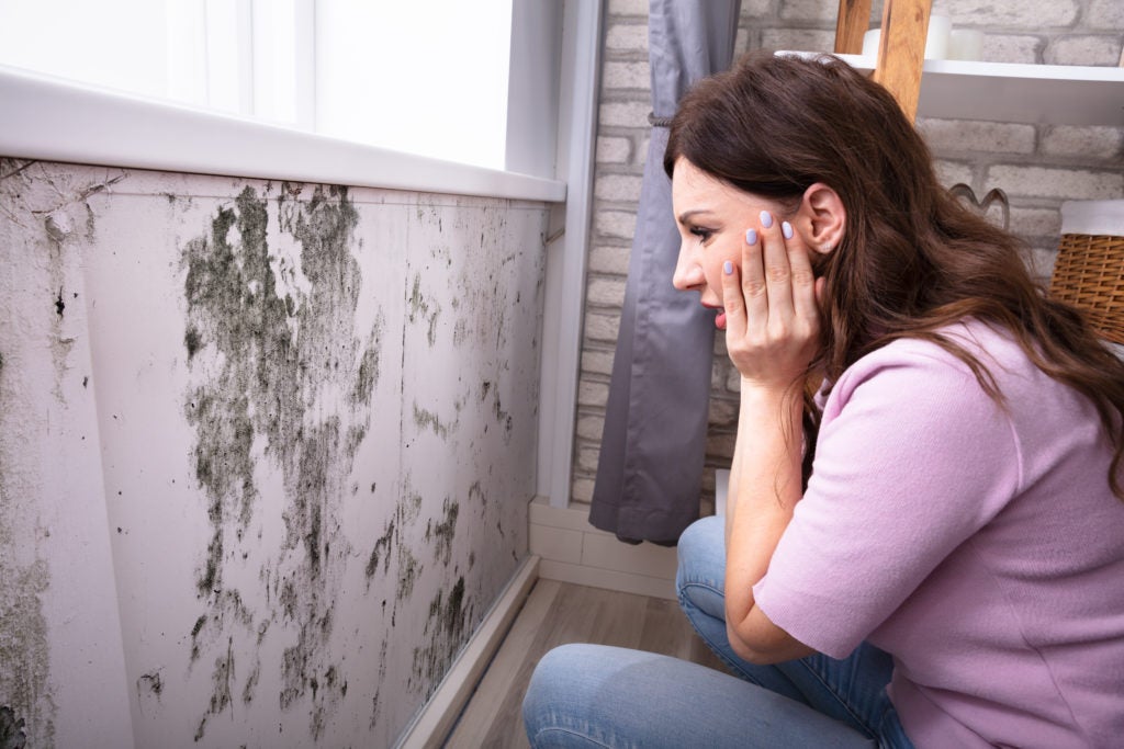 Is mould covered by home insurance? 