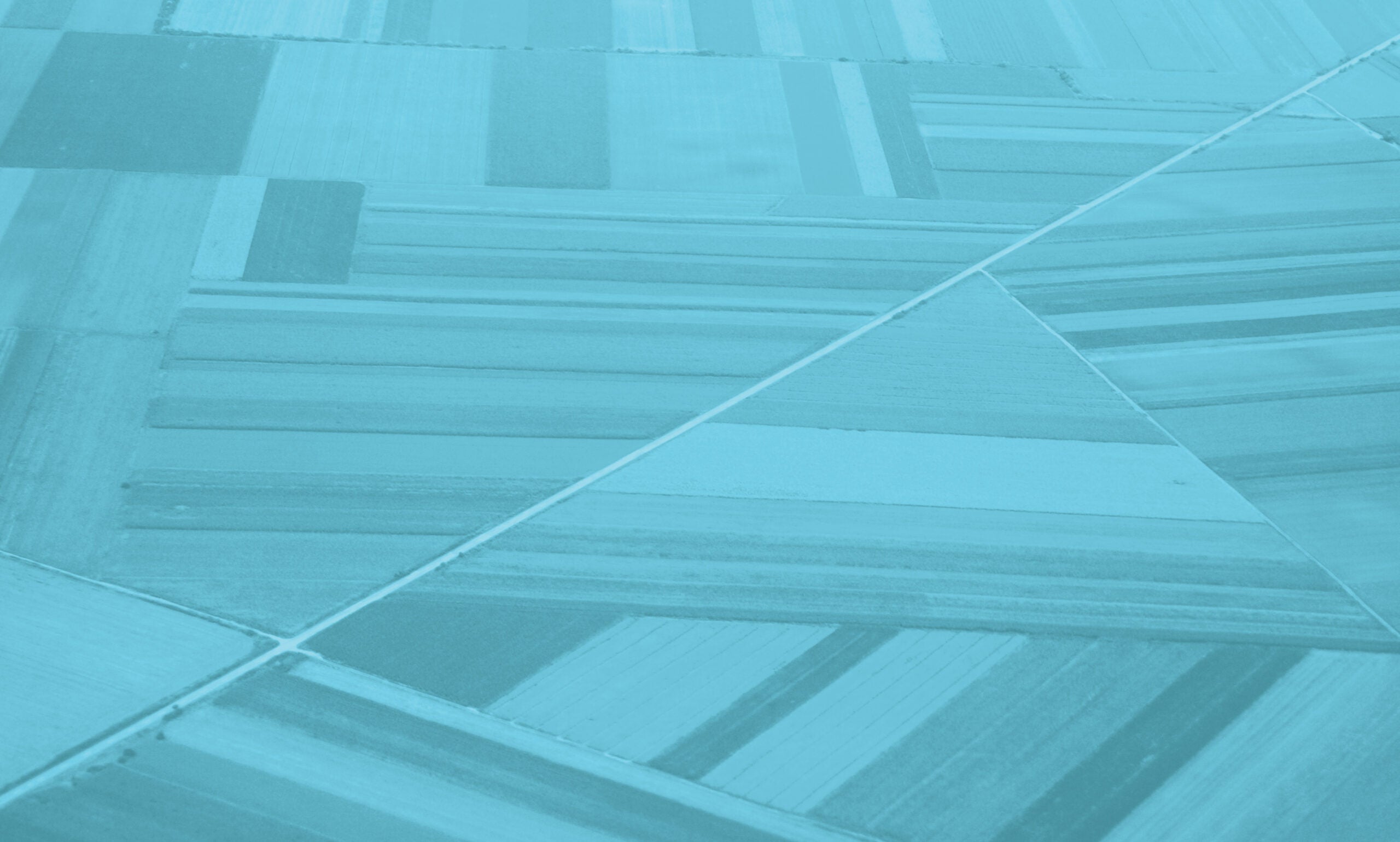 Aerial view of intersecting farmlands