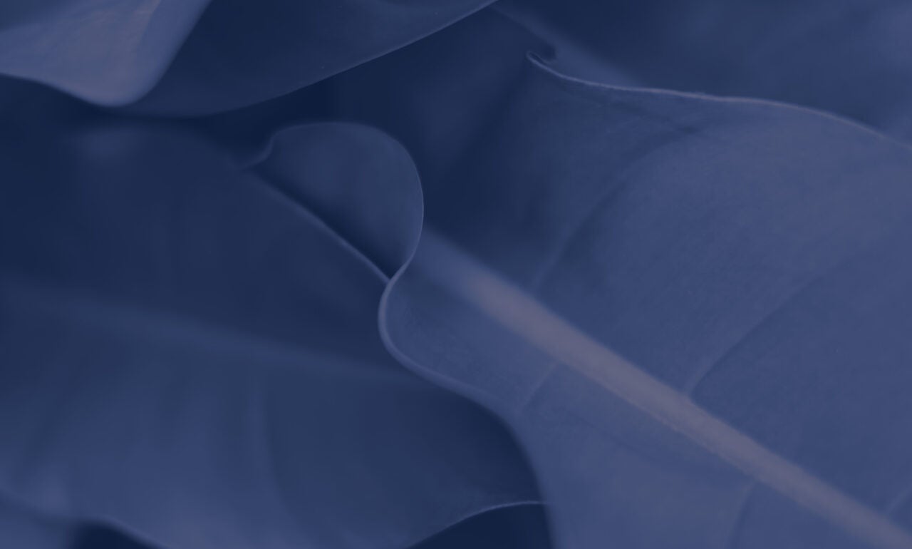 a closeup of a leaf curling with a navy overlay