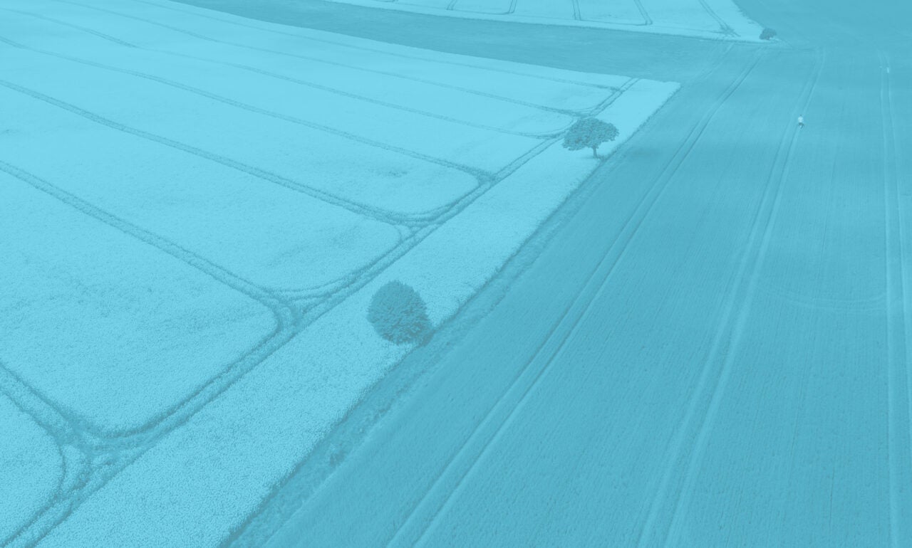 View of intersecting farm fields