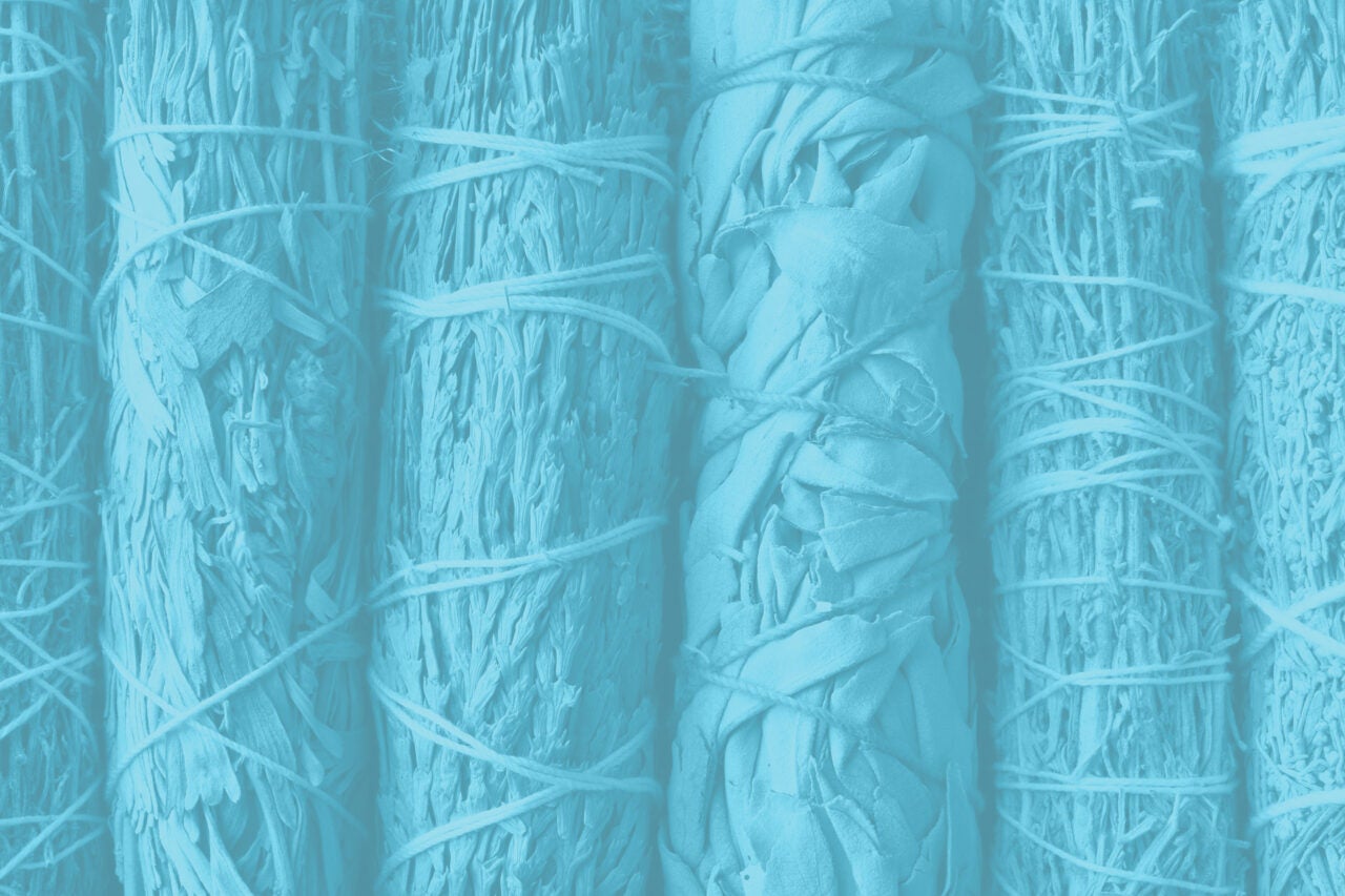 Closeup of a number of smudge sticks arranged in a line