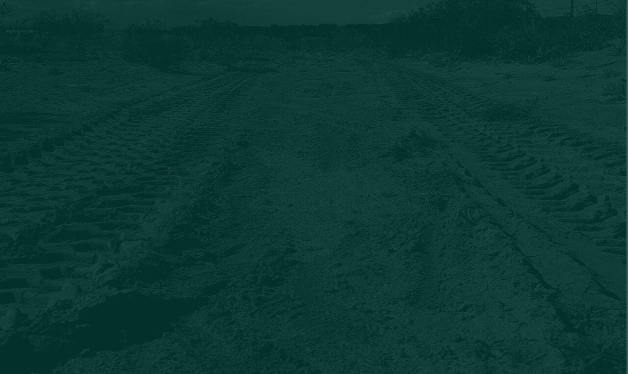 tire track in dirt from off road vehicles, with a dark green overlay