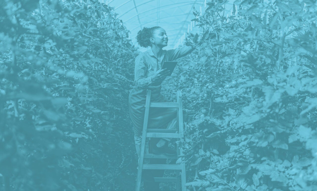 woman picking fruit in an orchard with a sky blue image overlay