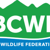 BC Wildlife Federation Logo