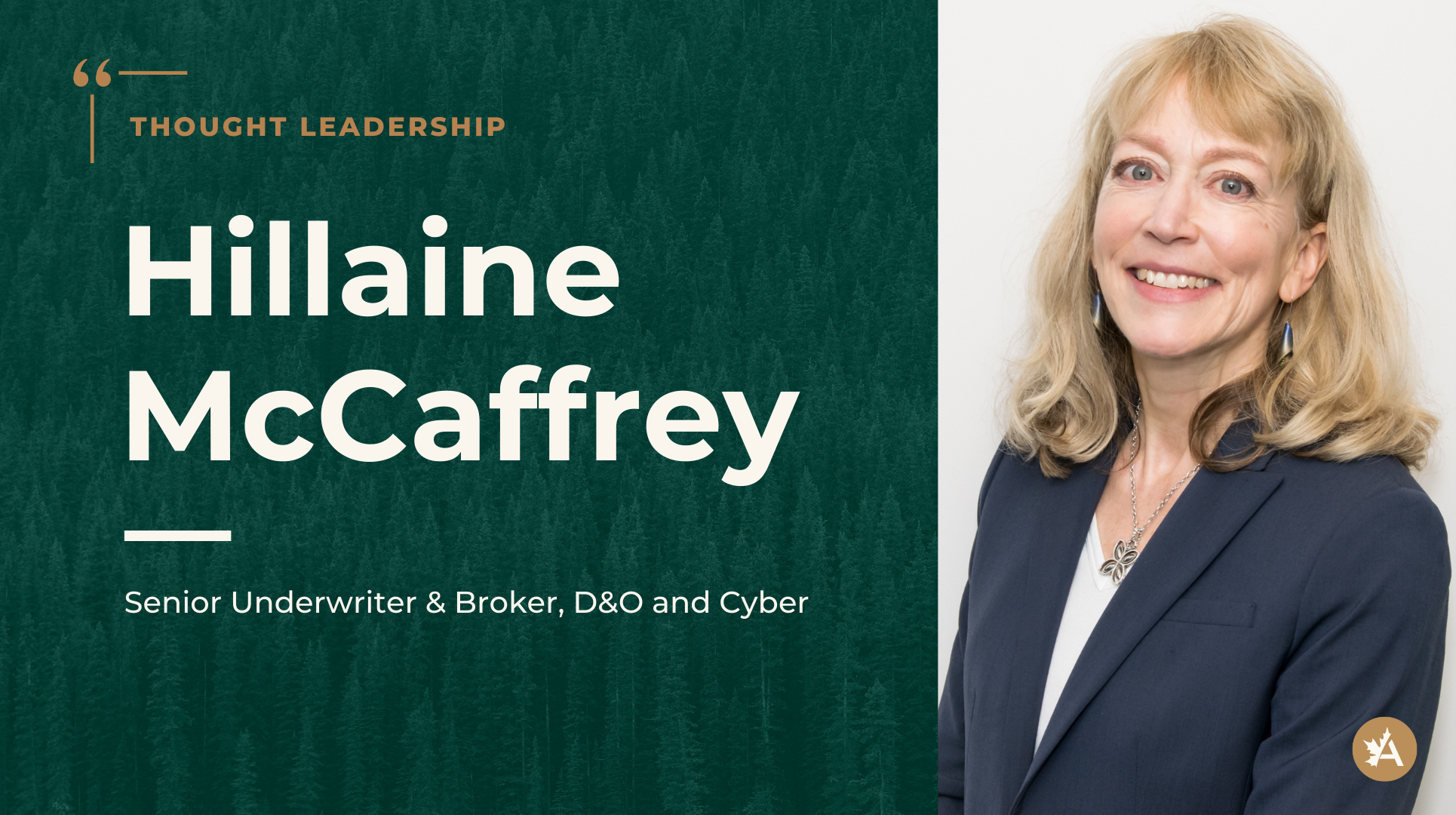 Hillaine McCaffrey profile banner