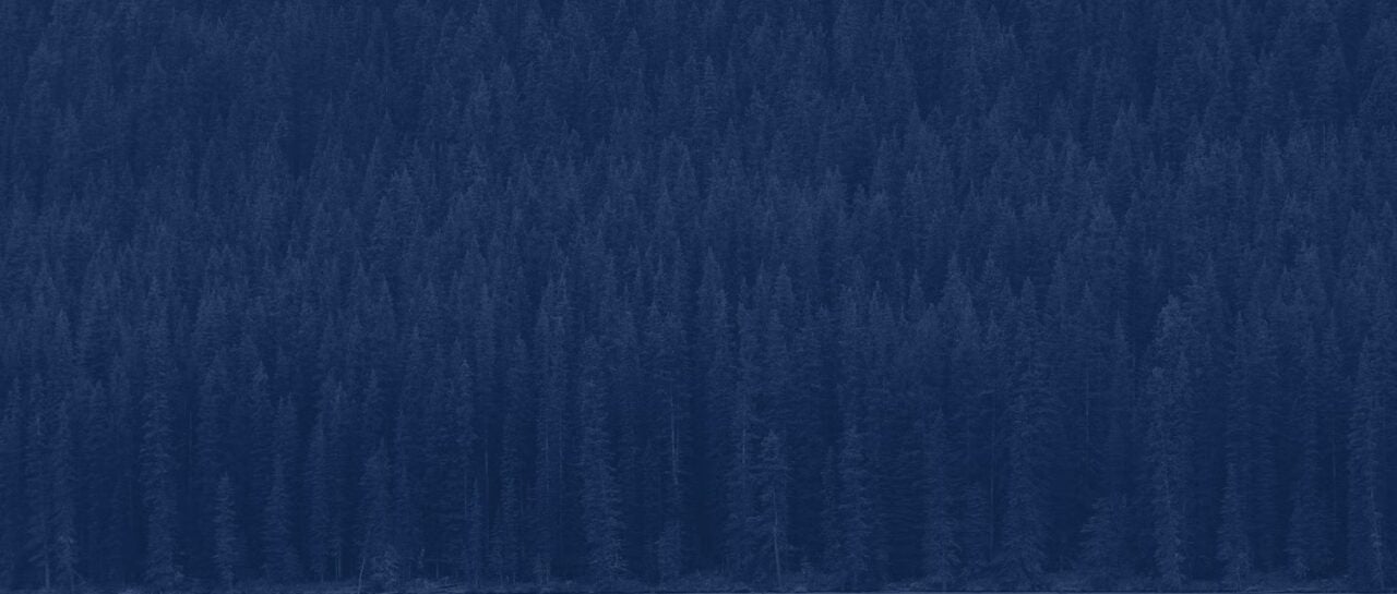 Forest background with Acera Navy overlay