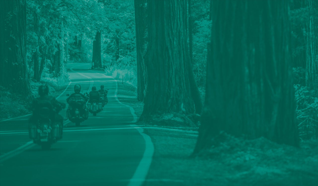 Motorcycles riding down forest road with mature trees along the roadside