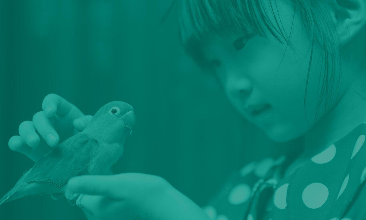 Young girl holding her pet bird lovingly