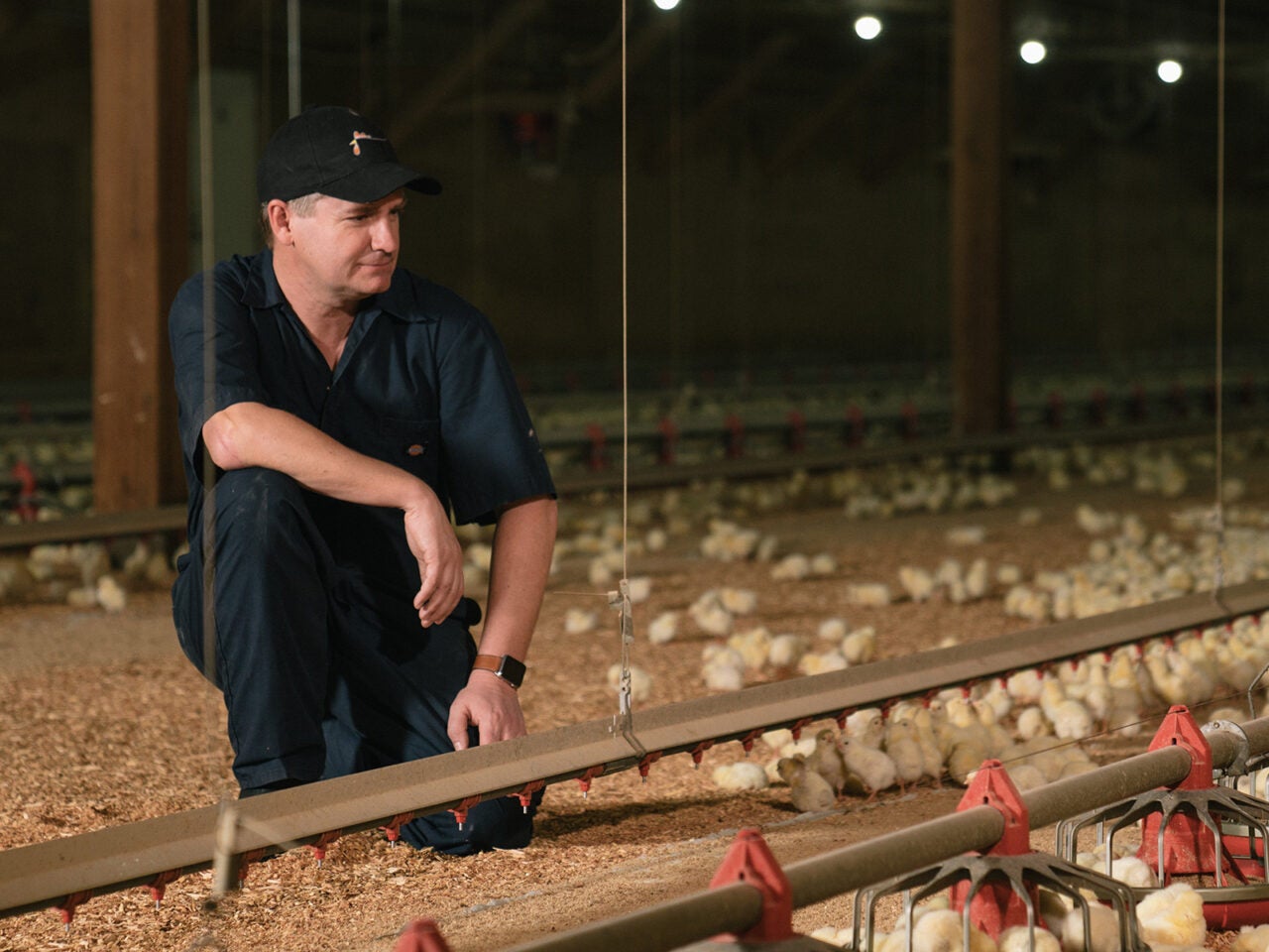 Protecting the future of farming