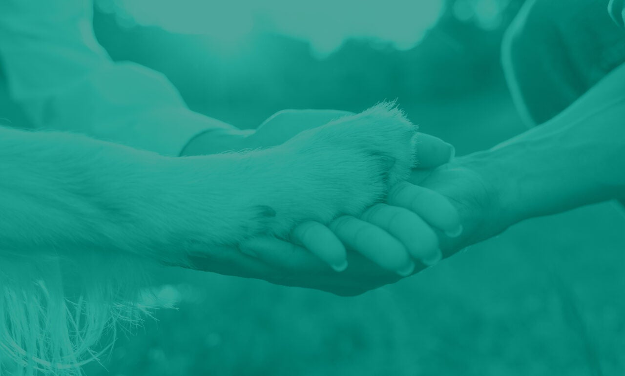 Closeup of hands in a center with a dogs paw on top