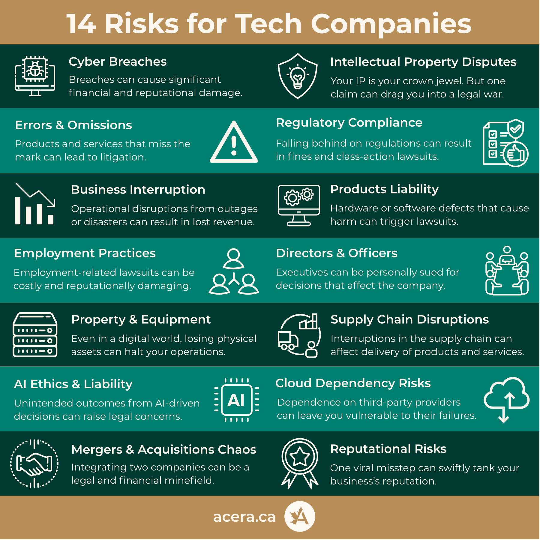 Infographic that summarizes 14 risks that tech companies face.