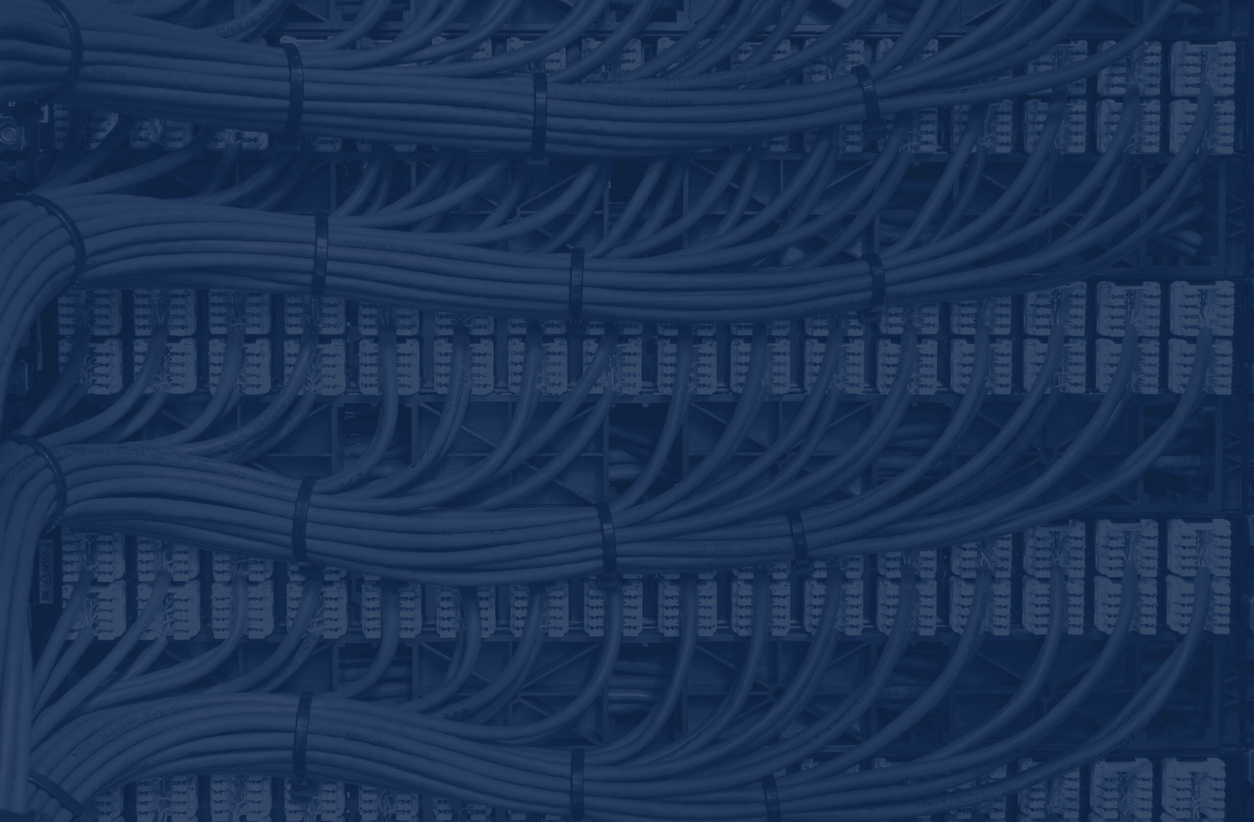 Blue network cables neatly channelled into their specified ports.