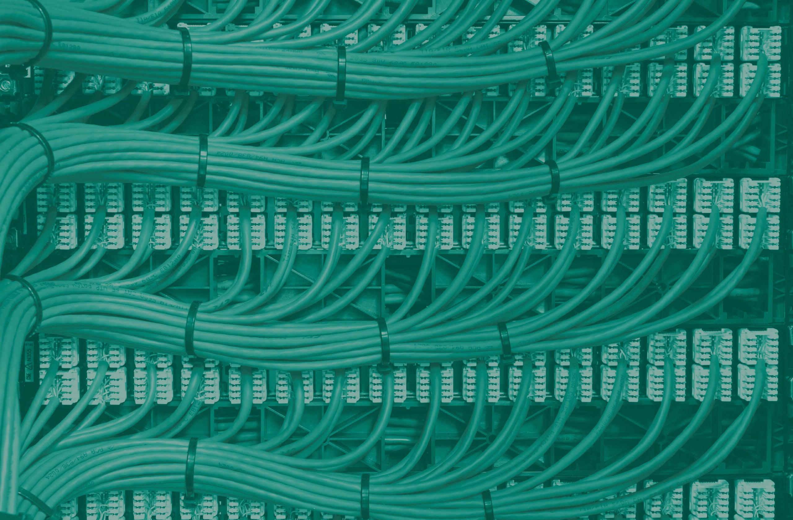 Blue network cables neatly channelled into their specified ports.