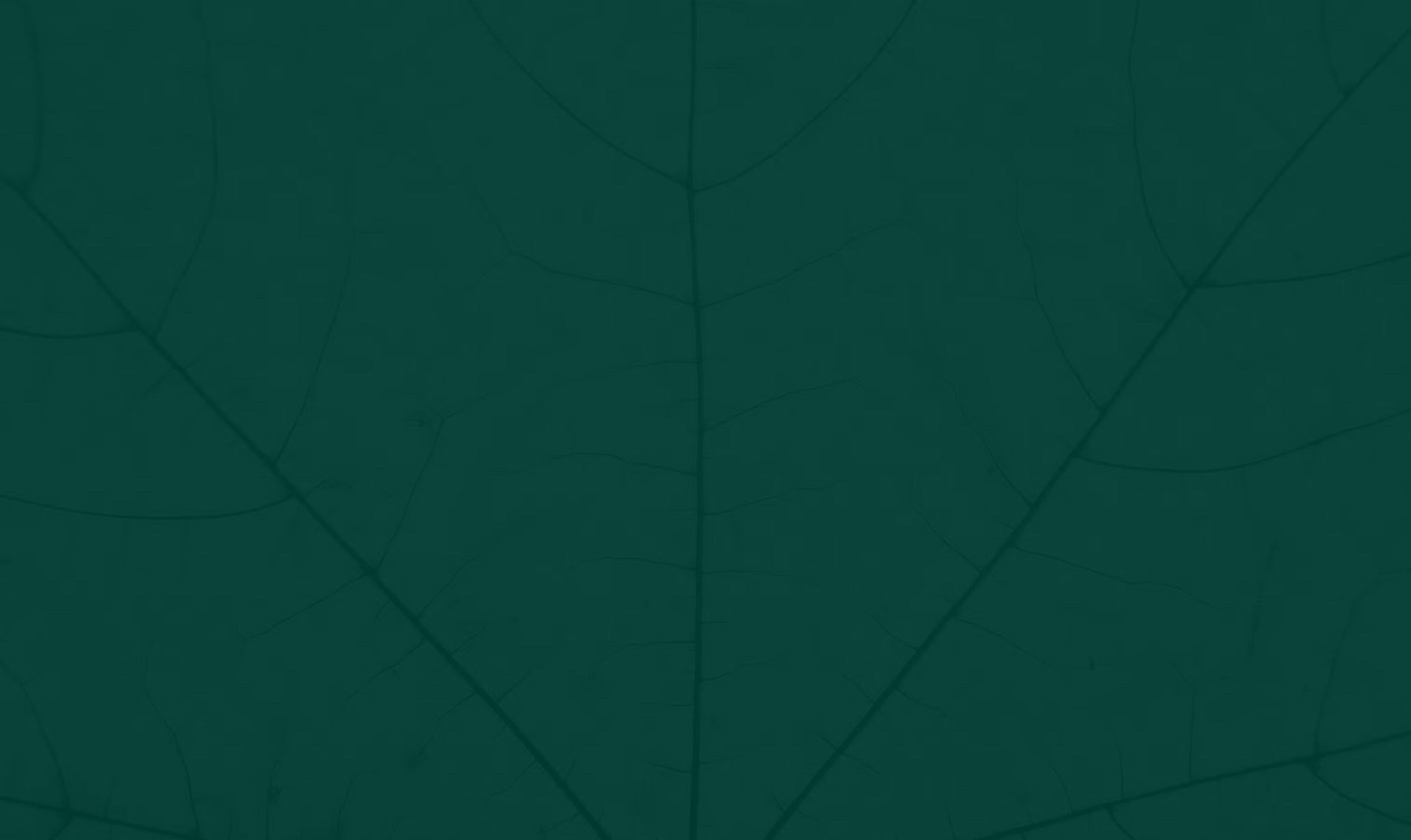 Acera Insurance Green Leaf Background