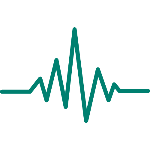 A seismometer icon representing earthquake 