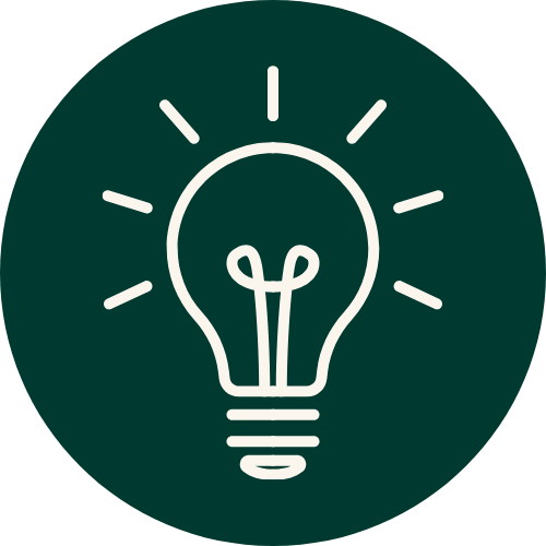Lightbulb icon