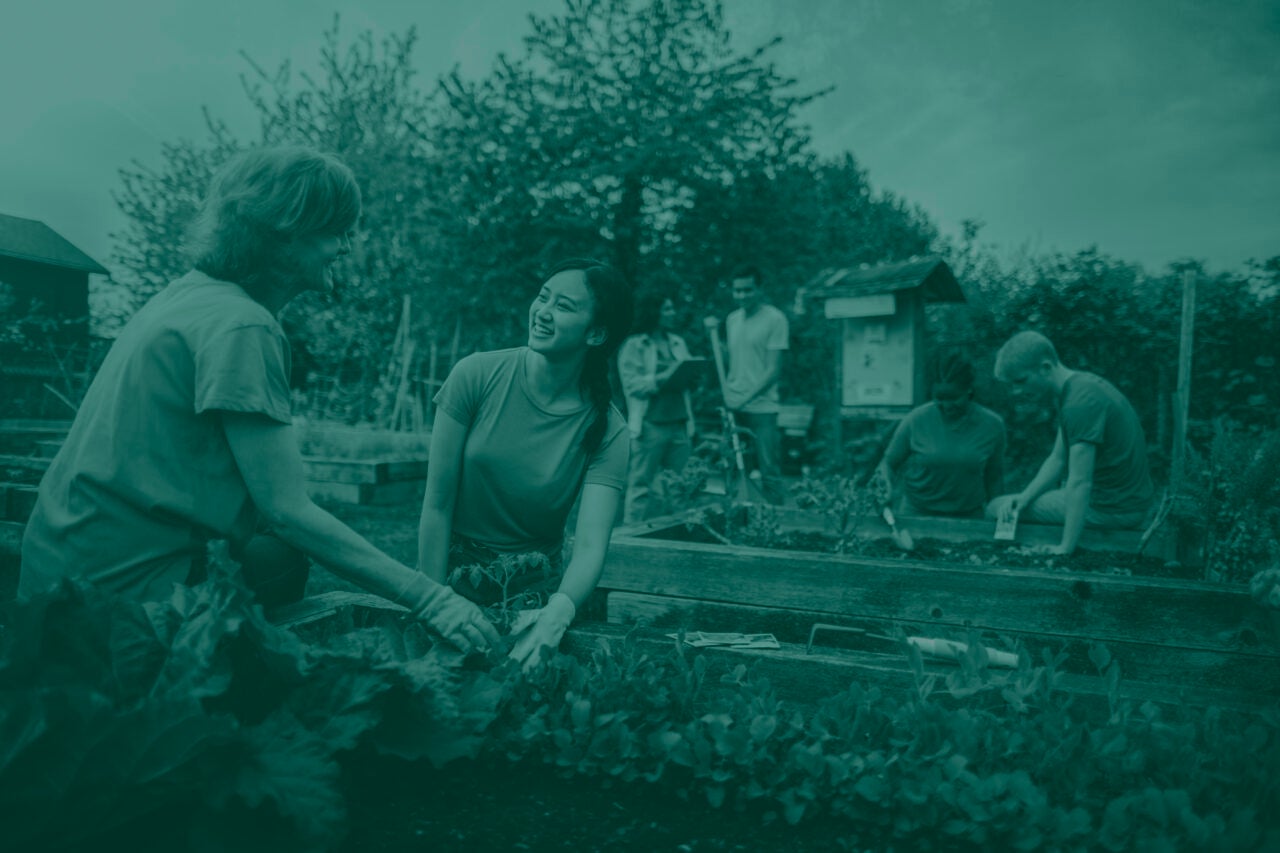 Volunteers planting garden