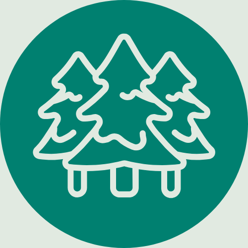 An icon showing a forest representing Vancouver Island